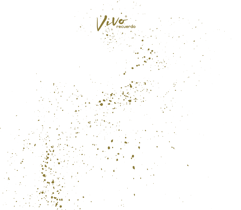 ipv4.vivorecuerdo.net